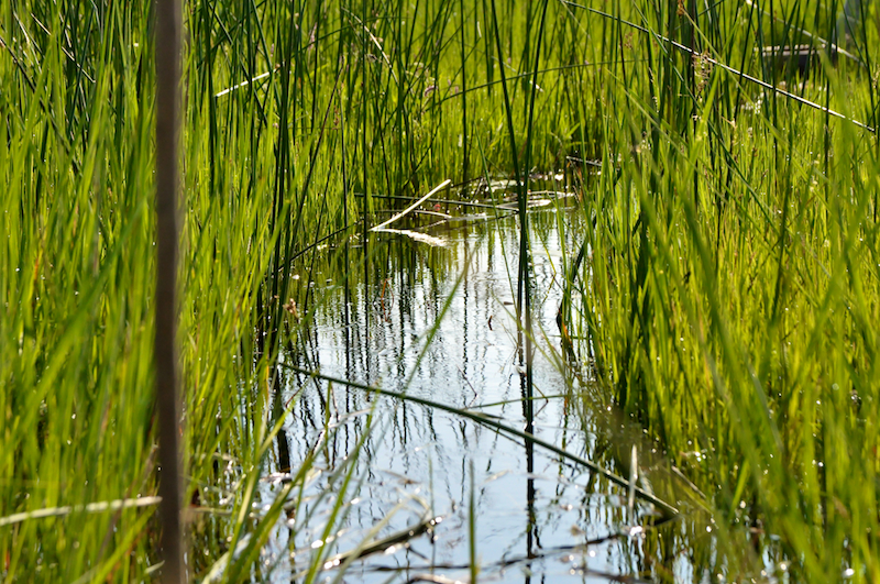 Melanie Heinrich Travel Images Africa